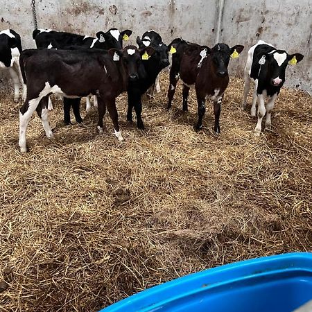 Lacken Farmyard Kilmihil 외부 사진