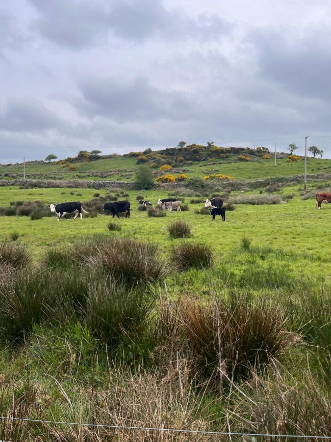 Lacken Farmyard Kilmihil 외부 사진