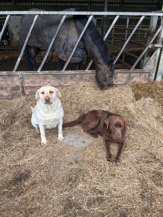 Lacken Farmyard Kilmihil 외부 사진